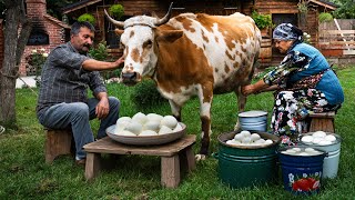 Fresh Adana Cheese from Cows Milk A Village Tradition 🐄🍃 [upl. by Enrobso]