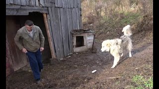 Ženu vidi samo kada se prijavljuje na biro [upl. by Jahn]