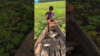 😲 Best Boat Fishing With Kotch 🌻part 177boatfishing viral shorts fish naturalfishingbigfish [upl. by Akinhoj]