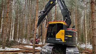 Gallring med Volvo grävmaskin och Logmax [upl. by Laynad]