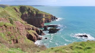 Freshwater East to Broadhaven on the Pembrokeshire Coast in Wales  April 2024 [upl. by Rehpotsrhc]