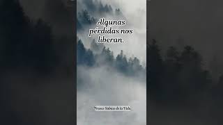 7 Frases que cambiaron mi vida para mejor Frases para reflexionar frases [upl. by Chiang337]