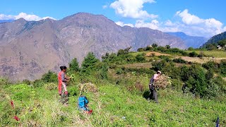 dharme brother helping to a village sister  a village family in Rural Nepal  ruralnepall [upl. by Adiela]