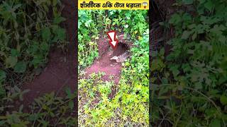 হাঁসটিকে একি টেনে ধরলো😨😱shorts youtubeshorts shortvideo trandingshorts [upl. by Einnaoj413]