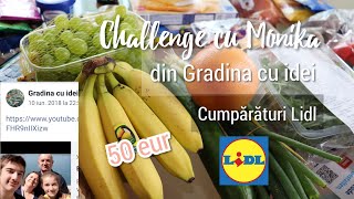 Challenge cu Monika din Gradina cu ideicumpărături Lidl de 50 de eur [upl. by Sidonie]