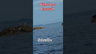 Welcome to Cornwall [upl. by Rosita]