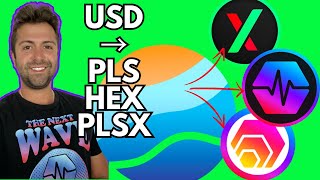 USA Unlocked PulseChain Update Best Crypto Exchange How To Buy PulseChain HEX and PulseX [upl. by Wittie]