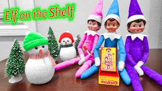 Elf on the Shelf Operation Dont Get Shocked Day 16 [upl. by Heida145]