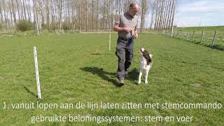 Doderer Hondenschool  Zelf oefenen met de hond zitten met hondenfluit [upl. by Hashim444]