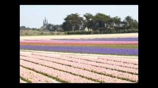 LES TULIPES BIGOUDENNES [upl. by Nabala]