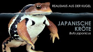 Japanische Kröte  Azuma Toad  Bufo japonicus  realistisches Modell  Gashapon Unboxing amp Review [upl. by Kerstin]