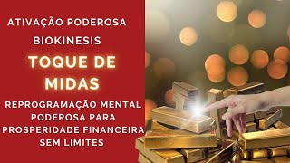 Reprogramação Mental  Toque de Midas [upl. by Falo]