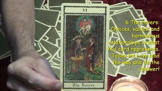 The Medieval Scapini Tarot 11624 Daily Tarot Reading [upl. by Tabbitha]