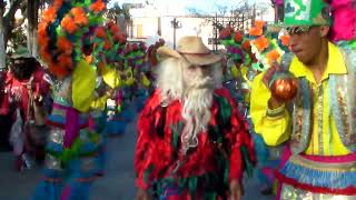 en salinas de hidalgo danza autentica san martin caballero [upl. by Koeninger25]