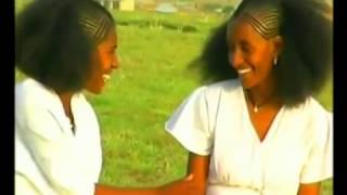 New Raya Song Goitom Gebreye ወይኖ [upl. by Gerhard]