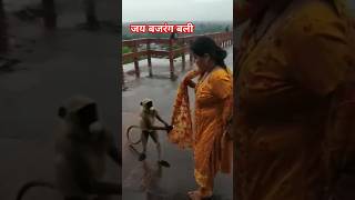 जयबजरंगबली  Sheela Mishra Ke Geet [upl. by Ellerrehc815]