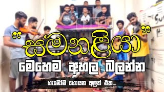 සමනළියා මෙහෙම අහල බලන්න samanaliya song cover sinhalasongs sinhalasongscover cover [upl. by Tneicniv]