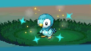 Live Shiny Event Piplup After 1980 Seen  DTQ 1  Pokémon Black 2 [upl. by Niffirg26]