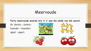 Meervoude Plurals FAL Grade 3 Foundation Phase [upl. by Longtin77]