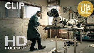 Dogman new clip official from Cannes – 13 [upl. by Leach]