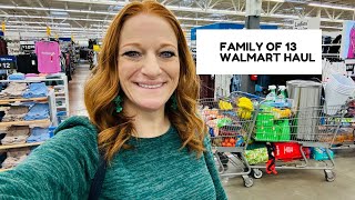 FAMILY OF 13 WALMART HAUL [upl. by Notlad108]