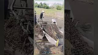 Job of river cleaning Satisfying jobs and machinery in the world satisfying shorts [upl. by Lleoj]