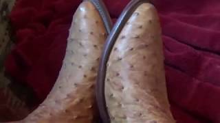 NOCONA OSTRICH BOOTS [upl. by Sandi]