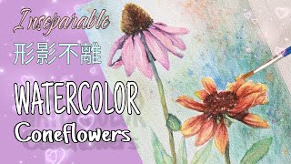 Easy Watercolor Flower Tutorial  Coneflower painting  Echinacea  水彩花卉  水彩輕鬆學  松果菊 [upl. by Porter]