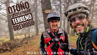 Abantos Super Cremoso  Enduro Mtb 🤘⚡🚵🏻‍♀️🔝🦌 [upl. by Geiger]