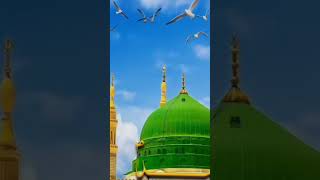 اللھم صل علی سیدنا محمد islamicvideo ytshort trendingshorts [upl. by Akinar976]