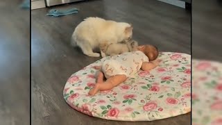 Moment mother cat tries to introduce kitten to family baby [upl. by Karilla]