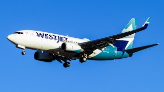 aviationshorts  WestJet NEW LIVERY 737700 Landing in Regina October 2023 [upl. by Glass870]