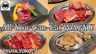 All You Can Eat Wagyu Beef at Nikuya Yokocho Japanese Yakiniku BBQ restaurant in Akihabara [upl. by Fital]