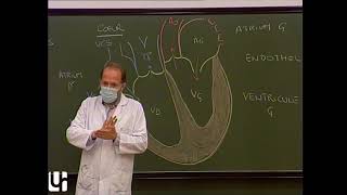 Anatomie générale 3  Appareil circulatoire General anatomy of the circulatory system [upl. by Noland]