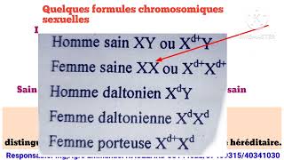 Texte modèle Biologie SVTSMPSES 2024 Correction Daltonisme 💯 motivation [upl. by Silvio]