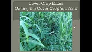 Cover Crop Mixes Getting the Cover Crop You Want [upl. by Nonad]