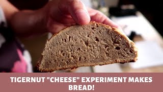 Tigernut quotcheesequot experiment makes AIP BREAD [upl. by Meikah]