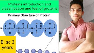 Proteins introduction and classification [upl. by Rona]