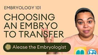 How To Choose Which Embryo To Transfer  Embryologist Explains Embryo Selection In The IVF Lab [upl. by Ecneitap]