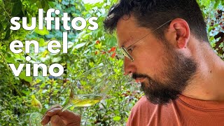 Lo que NO te contaron sobre los SULFITOS 🍷 [upl. by Reffineg]