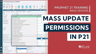 Prophet 21 Training and How To  Mass Update  Permissions [upl. by Aderf]