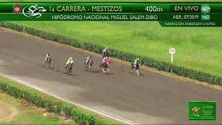 20195M La Bailarina mest abr 7 2019  Hipódromo Miguel Salem Dibo [upl. by Atilef]