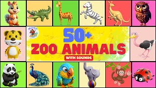 Zoo Animals for kids with sound  Zoo Animal at the zoo  English for kids  lets Go to the zoo [upl. by Yelyab680]