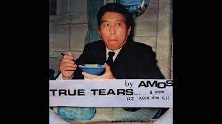 Amos amp Crew  True Tears [upl. by Anet312]