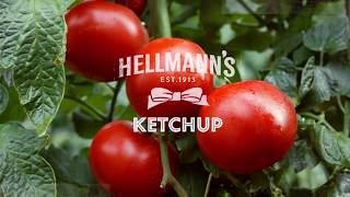 NOVO Hellmanns Ketchup  O verdadeiro prazer está no sabor [upl. by Theobald]