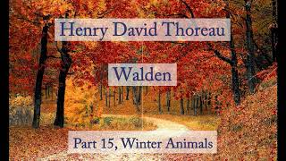 Henry David Thoreau Walden  Winter Animals Audiobook [upl. by Nelo56]