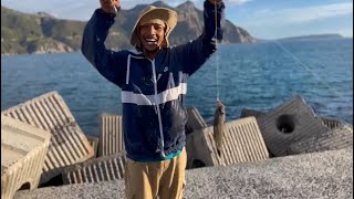 Fishing in Hout bay South Africa fishing stayfishy houtbay capetown fisherman fish new [upl. by Asir]