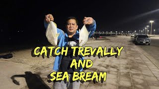 CATCH SEA BREAMS AND TREVALLY SHORE FISHING [upl. by Eeruhs]