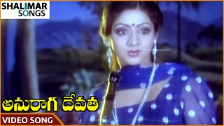 Anuraga Devatha Movie  Choosuko Padhilanga Video Song  NTR Jayapradha  Shalimar Songs [upl. by Helge]