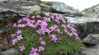 Vier Tage im Nationalpark Hohe Tauern [upl. by Henriette]